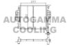 AUTOGAMMA 100243 Radiator, engine cooling